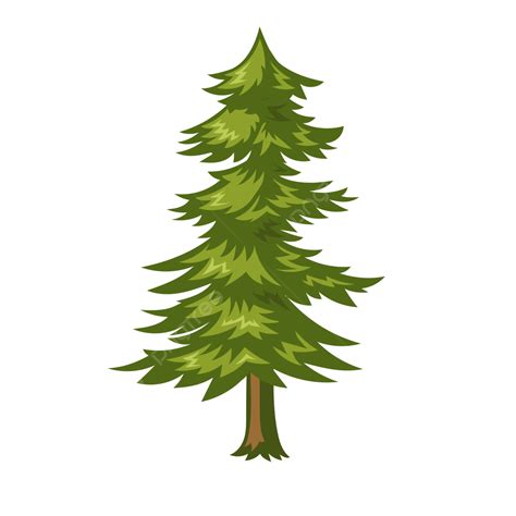 pine tree vector